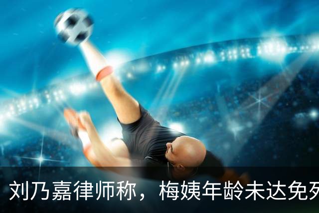 刘乃嘉律师称，梅姨年龄未达免死门槛！